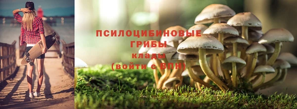 соль ск Аркадак