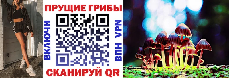 Галлюциногенные грибы Psilocybine cubensis  Всеволожск 